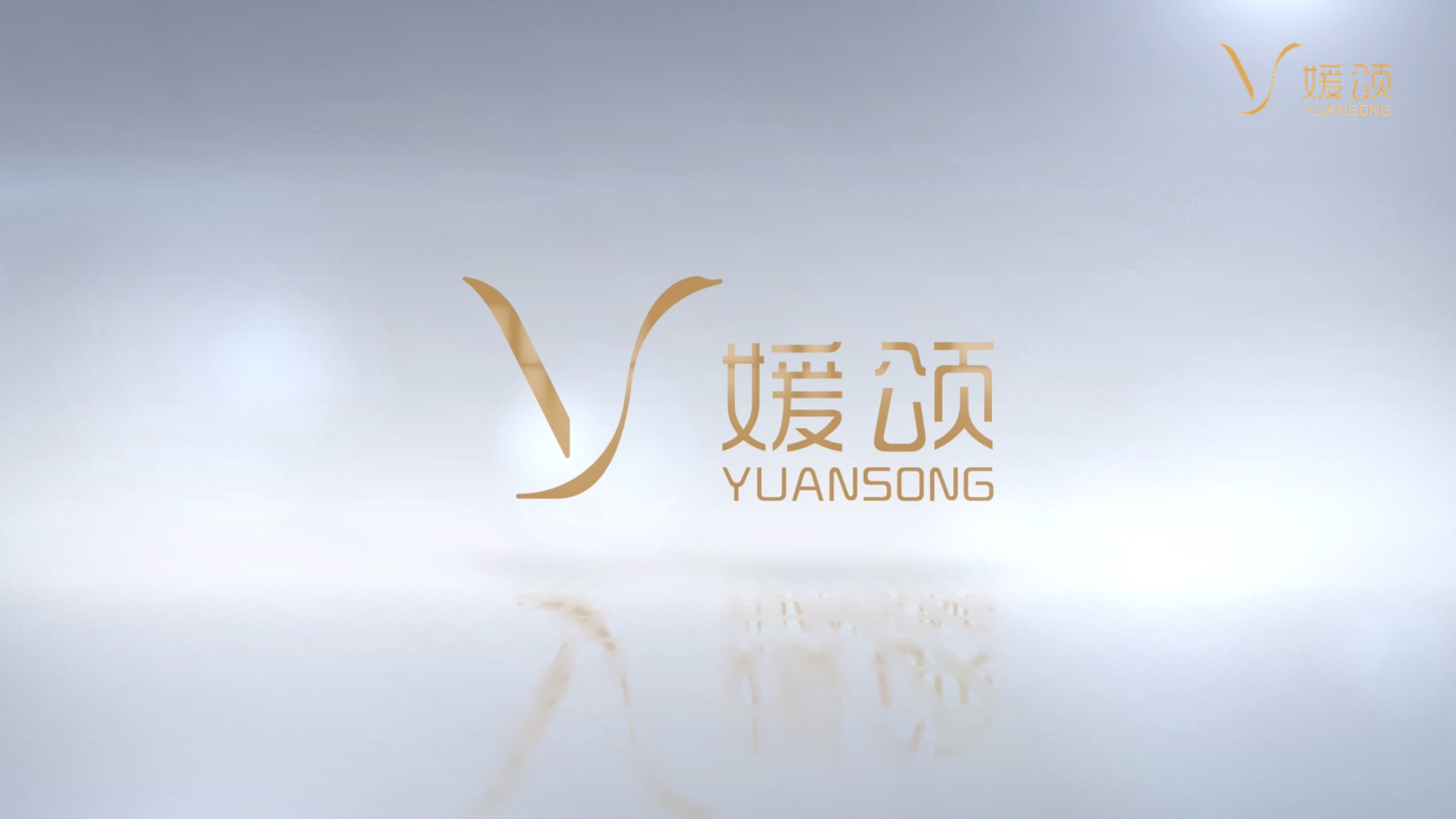 2026 媛颂集团企业宣传片